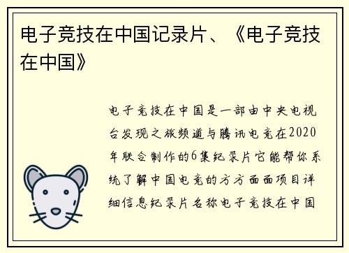 电子竞技在中国记录片、《电子竞技在中国》